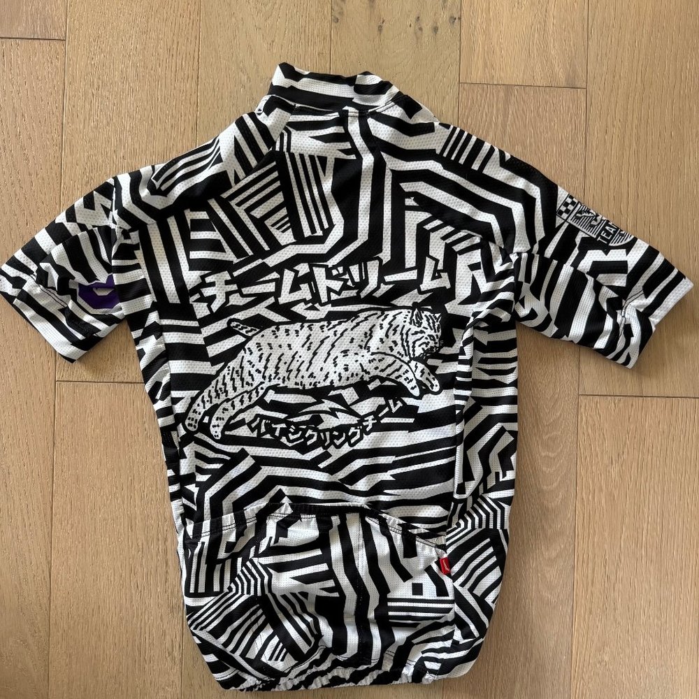 TeamDream Jersey (Unisex, XS)